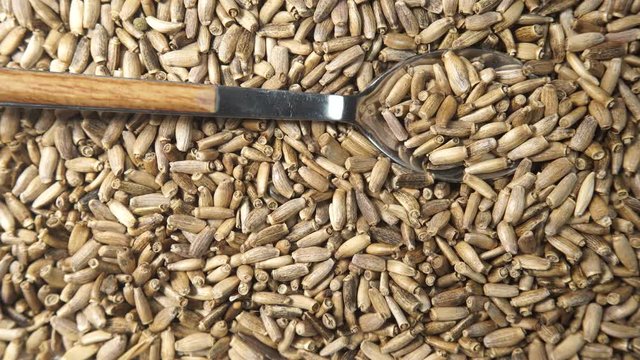 Herbal remedy silybum marianum, milk thistle seeds. Medical plant as food background or texture. Top down view. Natural treatment for liver problems