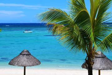 Ocean beach with cabanas blue sky white sand palm boat
