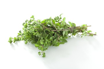 Marjoram
