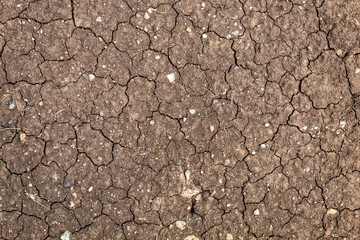 Top View Dry Cracked Soil Texture