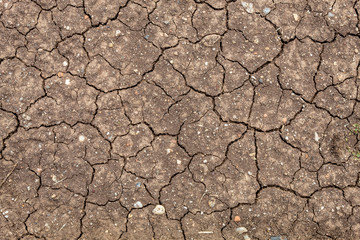Top View Dry Cracked Soil Texture