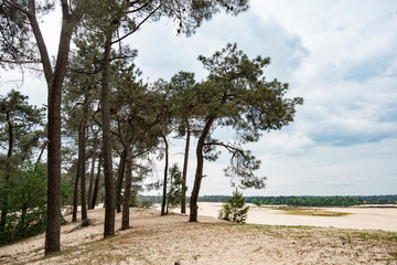 Loonse & drunense dunes netherlands