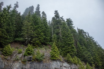 Rainier national park