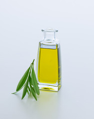 Carafe with olive oil and olive twig from olive tree. Isolated on white