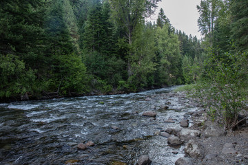 Rainier national park