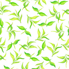 Seamless pattern with elegance green tea leaves on white background. Hand drawn watercolor illustration.