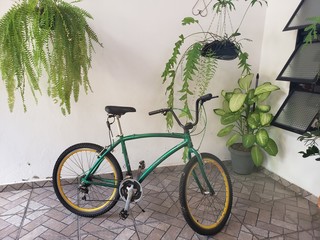 Fototapeta na wymiar Bicicleta entre as plantas