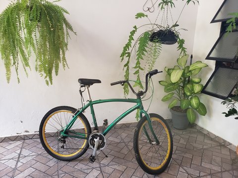 Bicicleta entre as plantas