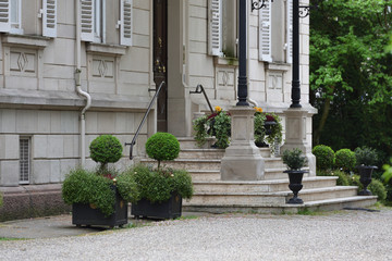 Beautiful shrub in planters in the shape of a ball next to the steps in front of a house in Europe, Germany