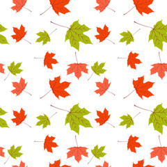 Seamless pattern with autumn leaves on a white background