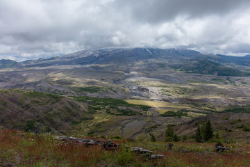 Fototapeta premium Mt St. Helens