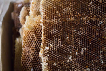 Natural bee Wax from honeycombs. Honeycombs after filtration. Honey harvesting and beekeeping