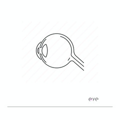 Eye icon isolated. Single thin line symbol of eye anatomy. Human body anatomy outline pictogram