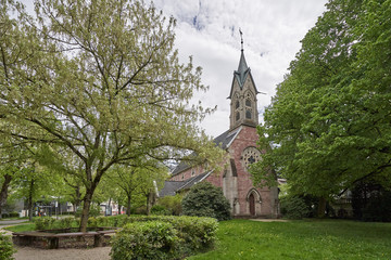 Fototapeta na wymiar Beautiful flowering tree next to the Evangelical Church in the European city of Baden Baden, Germany