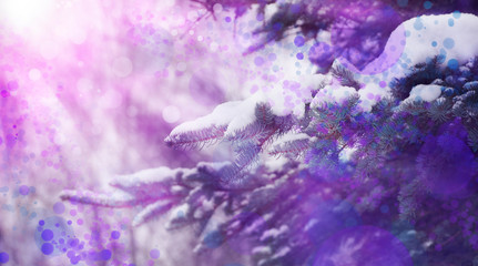 branches ate in the snow snowy Christmas landscape holiday purple color