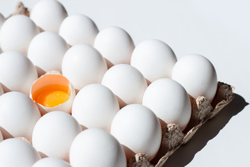 Fresh eggs isolated. White eggs in tray