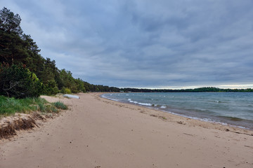 dark clouds at the beach and forest behind the beach