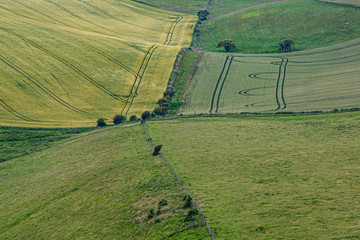 A full frame photograph looking down on green fields in the Sussex countryside, during summer