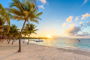 Poster Akumal-baai - Caraïbisch wit strand in Riviera Maya, kust van Yucatan en Quintana Roo, Mexico © Simon Dannhauer
