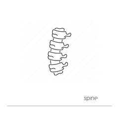 Spine icon isolated. Single thin line symbol of backbone. Human body anatomy outline pictogram