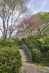 Stone stairs in the garden among the trees against the backdrop of a historic building in the European city of Baden Baden, Germany