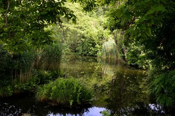 lake and reflection in it