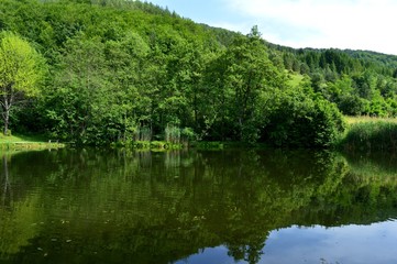 lake and reflection in it
