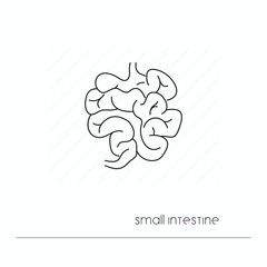 Small intestine icon isolated. Single thin line symbol of digestion system. Human body anatomy outline pictogram