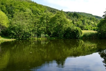 Fototapeta na wymiar lake and reflection in it