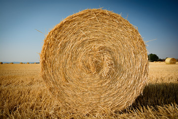 big role harvested straw on the mown field background consists purely blue sky