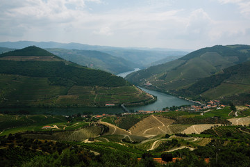 Top view of Douro valley and vineyards, Porto, Portugal.