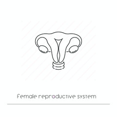 Female reproductive system icon isolated. Single thin line symbol of reproductuve system. Human body anatomy outline pictogram
