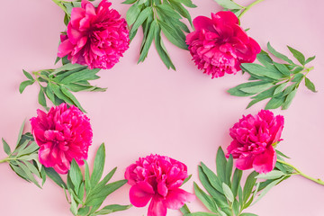 Flat lay composition with red peonies and green leaves on a pink background