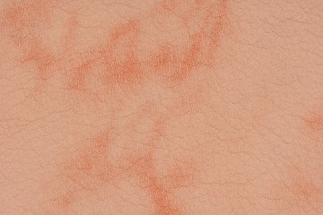 Beige leather background . Beige leather texture . 