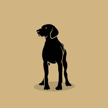 German shorthaired pointer - isolated vector illustration