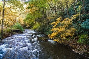 picturesque scenery from virginia creeper trail in autumn