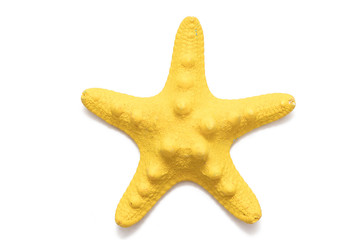 isolated starfish on a white background