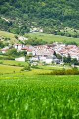 Fototapeta na wymiar the village next to the green fields and the mountains