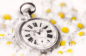 pocket watch in a beautiful romantic flowers