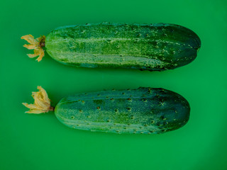 few fresh green cucumbers from greenhouses on color decorative background