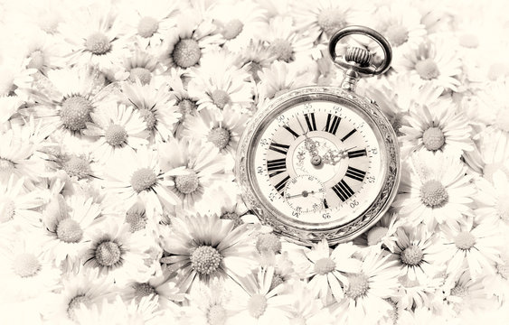pocket watch in a beautiful romantic flowers, monochrome version