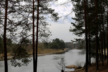 The steep bank of the river along the forest with a beautiful sky