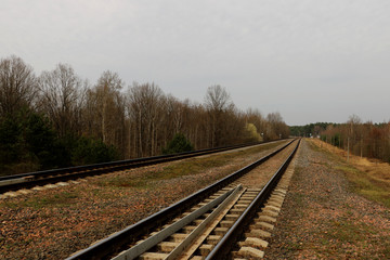 Obraz premium A railway along which trees grow with small clouds. Background