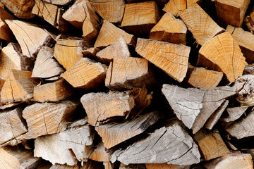 A stack of firewood of different species of trees close up