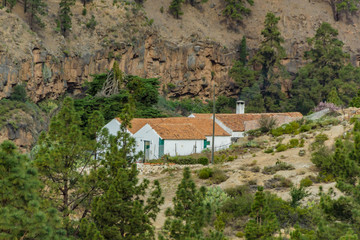 Fototapeta na wymiar Stony path at upland surrounded by pine trees at sunny day. Typical rural house in a mountain valley. Rocky tracking road in dry mountain area with needle leaf woods. Tenerife
