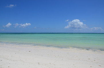 Fototapeta na wymiar Crystal Clear Waters of Zanzibar