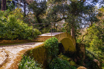 Bridge in the lush green trees and foliage of Sintra, Portugal.