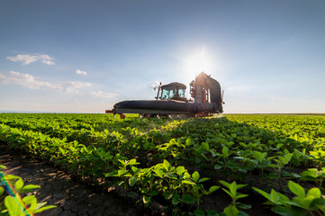 Spraying pesticides at soy bean fields