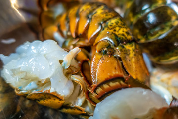 clean raw lobster tails prepared for grilling