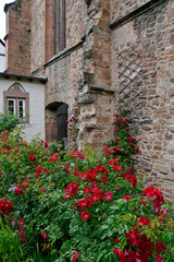 Fototapeta na wymiar kirchenruine kloster rosenthal